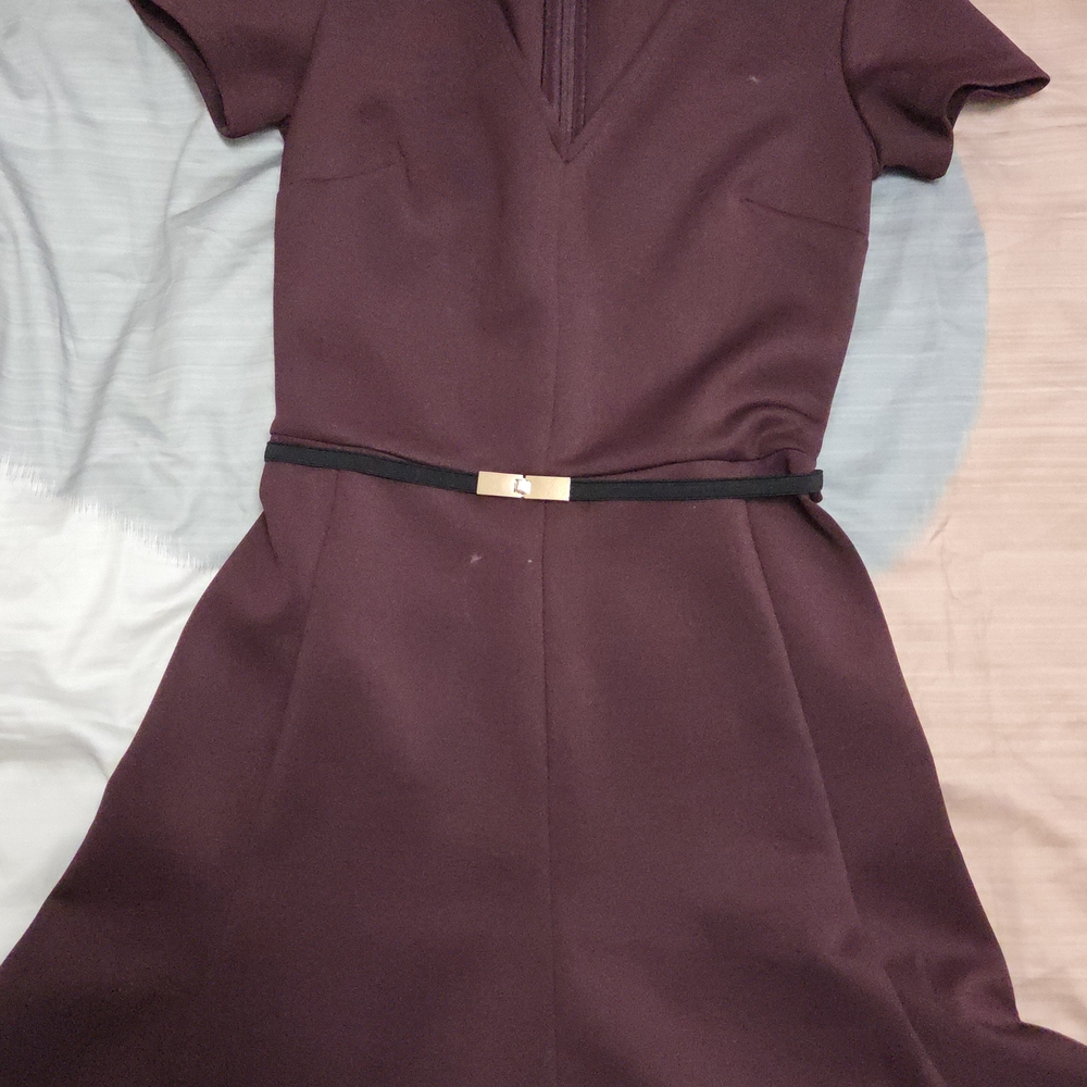 Dynamite Deep Purple Mini Dress with Belt